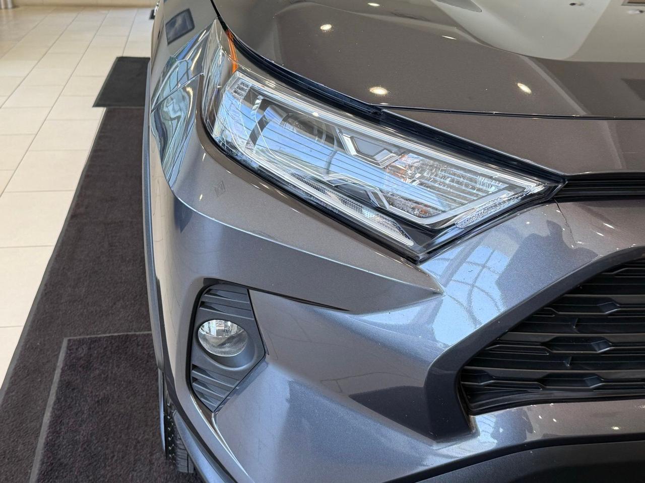 2019 Toyota RAV4 Hybrid XLE Annapolis MD