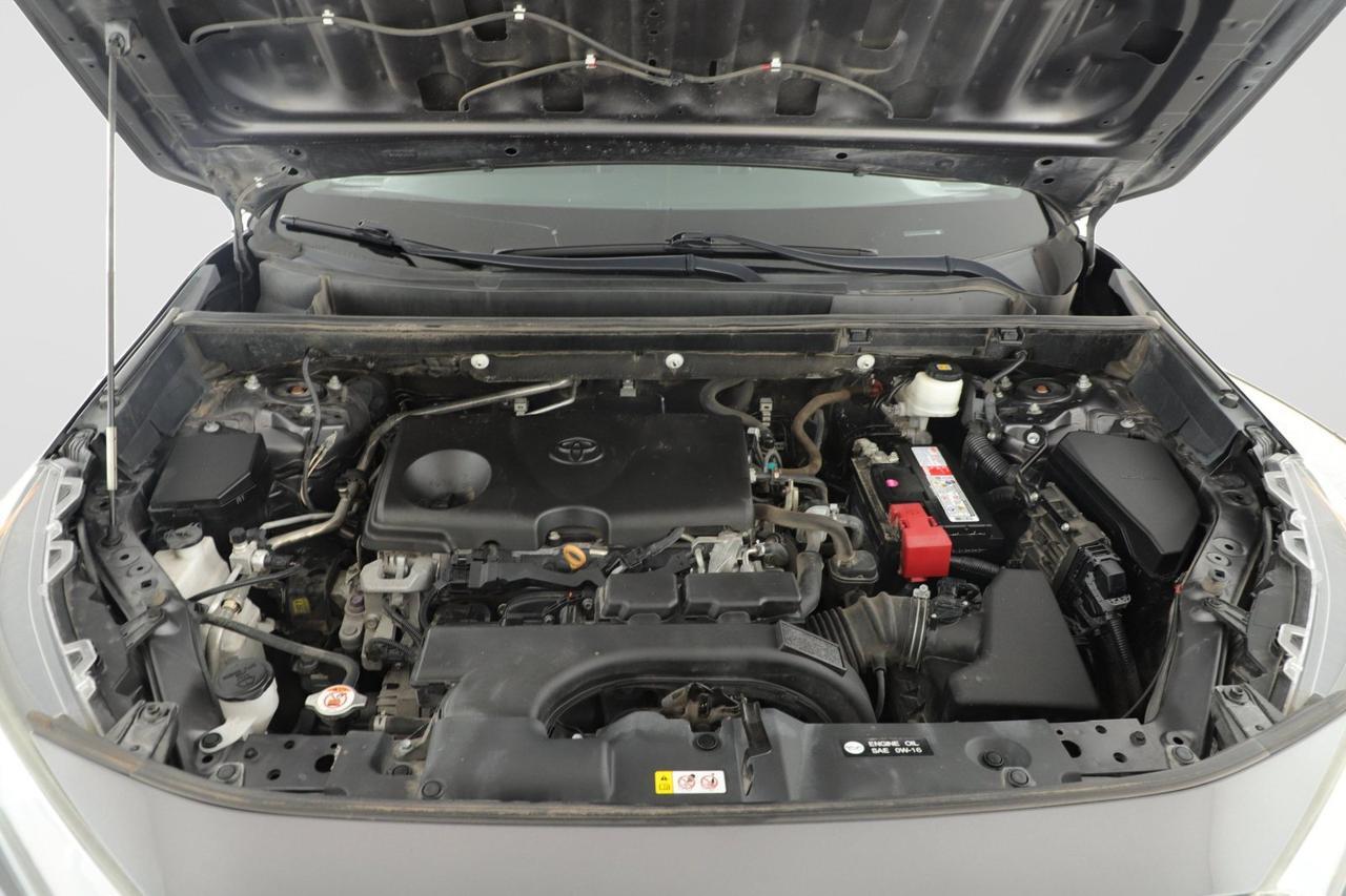 2019 Toyota RAV4 LE New Braunfels TX