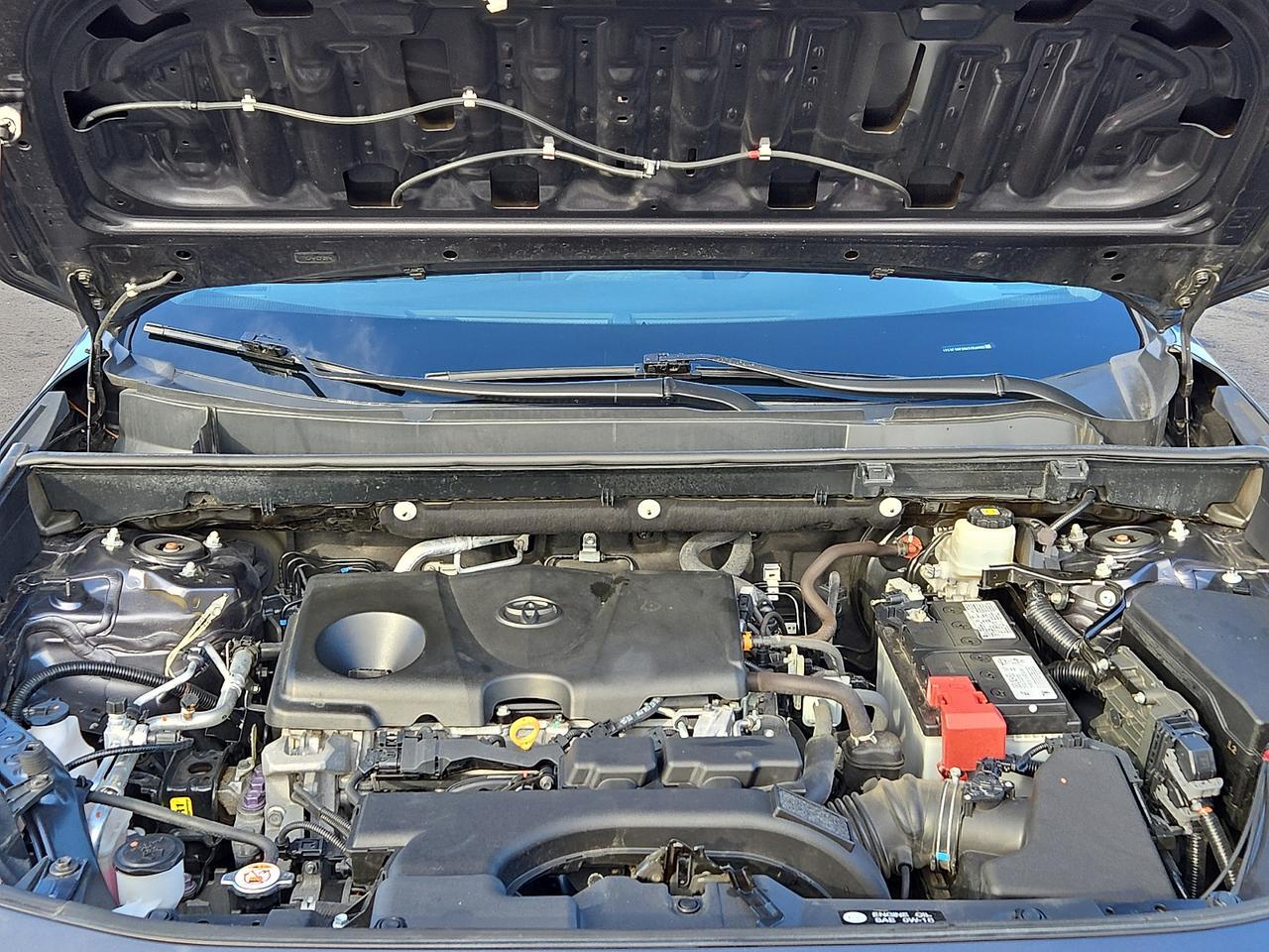 2019 Toyota RAV4 LE Vineland NJ