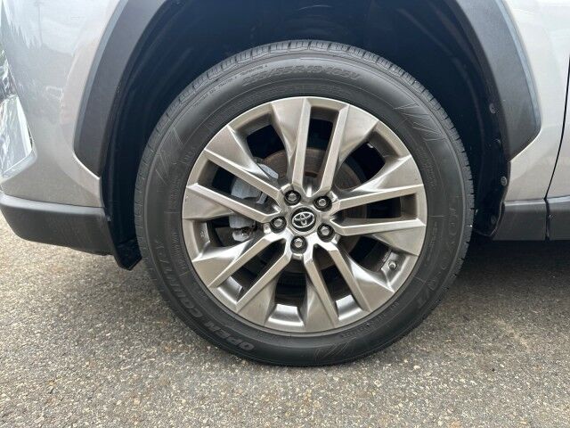 2019 Toyota RAV4 Limited Monroe GA