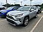 2019 Toyota RAV4 Limited Monroe GA