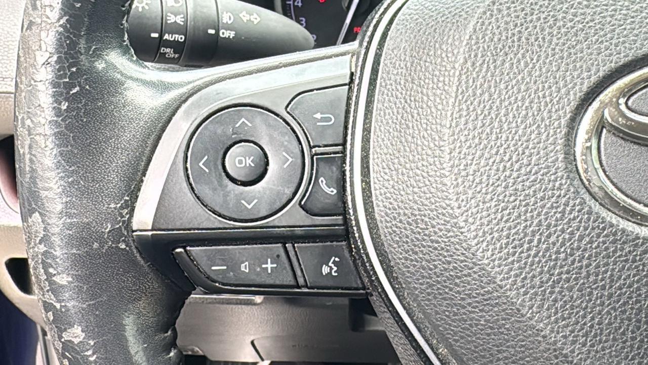 2019 Toyota RAV4 Limited  Selma TX