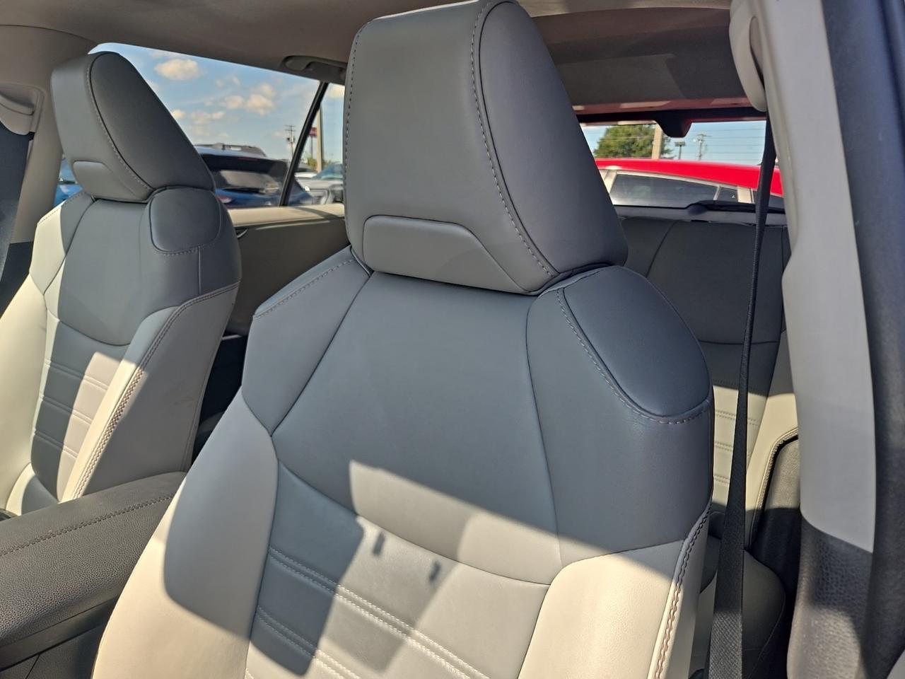 2019 Toyota RAV4 Limited Fredericksburg VA