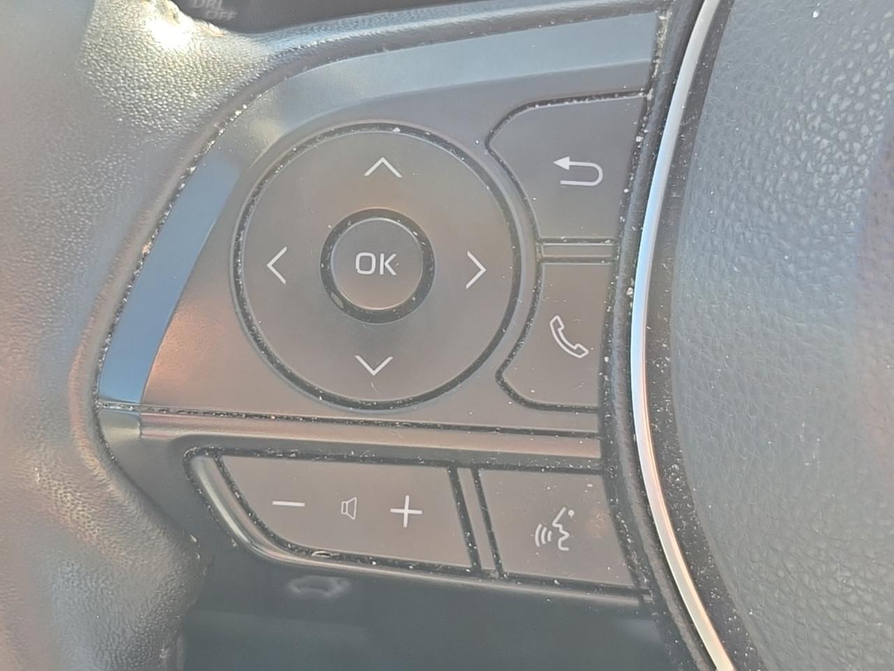 2019 Toyota RAV4 Limited Fredericksburg VA