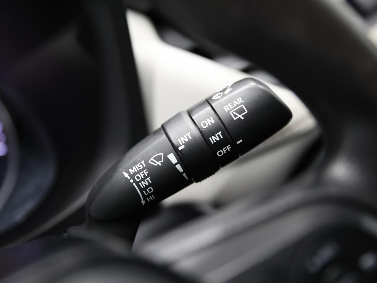 2019 Toyota RAV4 XLE AWD Cranberry PA