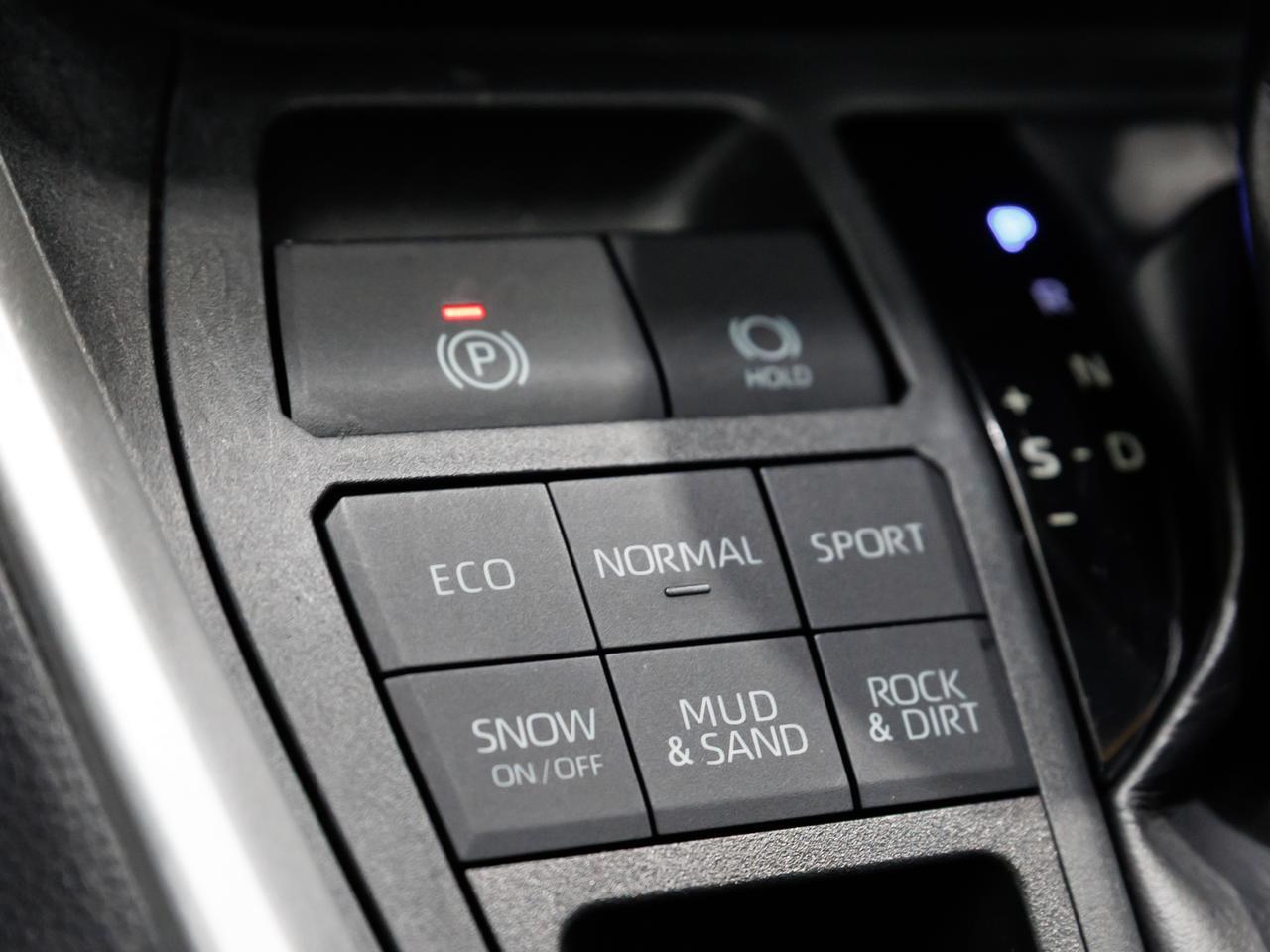 2019 Toyota RAV4 XLE AWD Cranberry PA