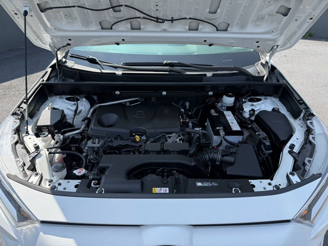 2019 Toyota RAV4 XLE Fitchburg MA