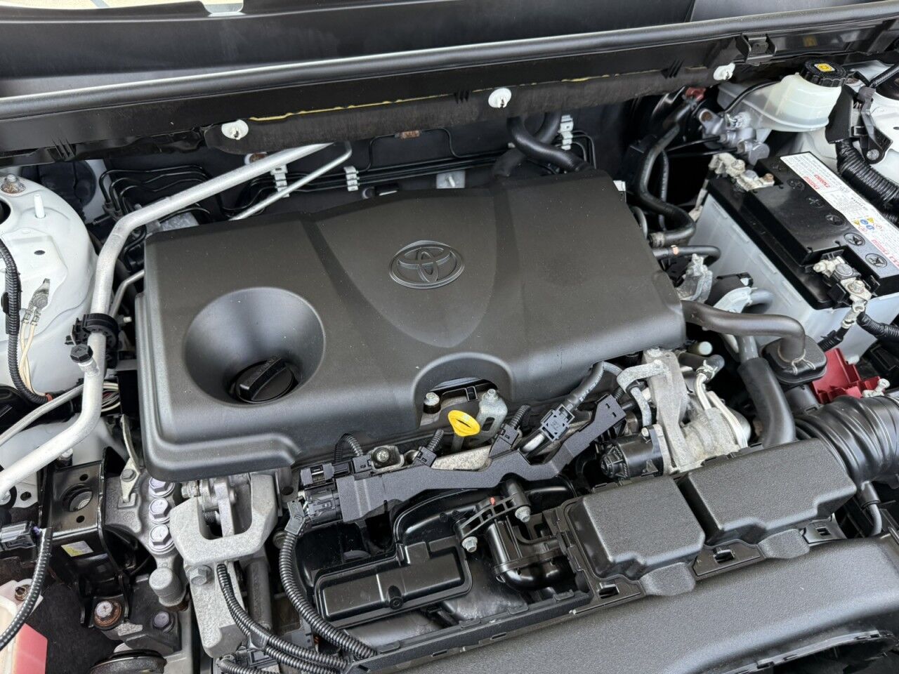 2019 Toyota RAV4 XLE Fitchburg MA