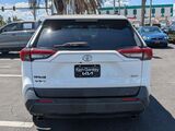 2019 Toyota RAV4 XLE Oshkosh WI