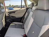 2019 Toyota RAV4 XLE Premium Oshkosh WI