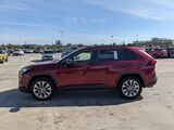 2019 Toyota RAV4 XLE Premium Oshkosh WI