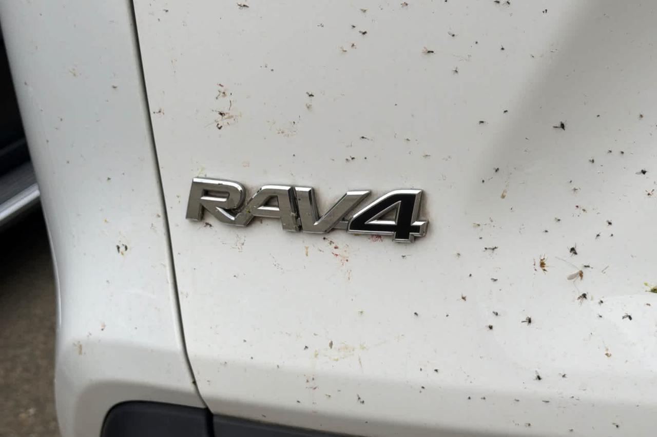 2019 Toyota RAV4 XLE Premium Roseville CA