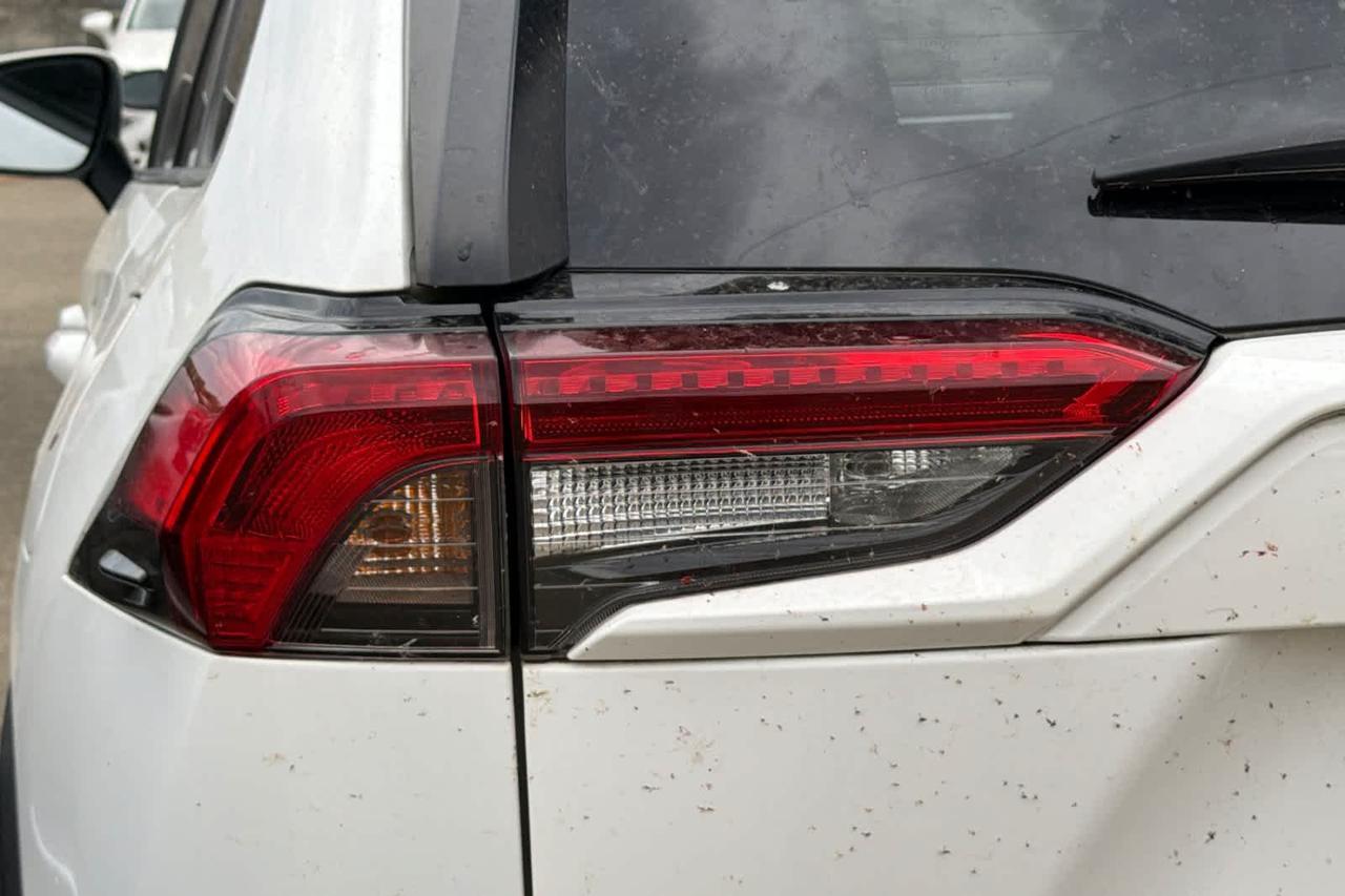 2019 Toyota RAV4 XLE Premium Roseville CA