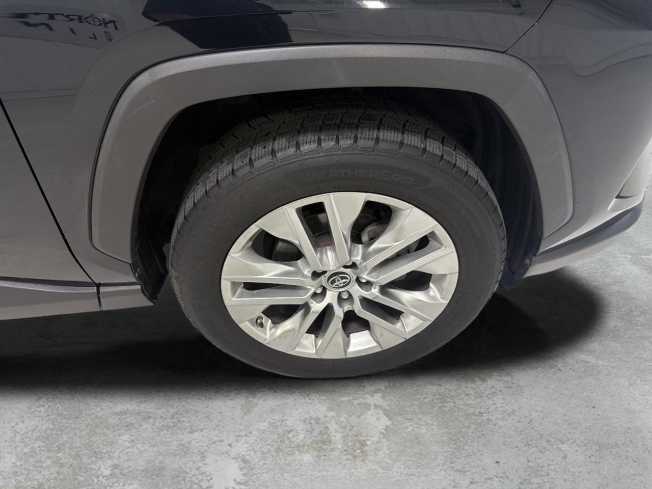 2019 Toyota RAV4 XLE Premium San Antonio TX