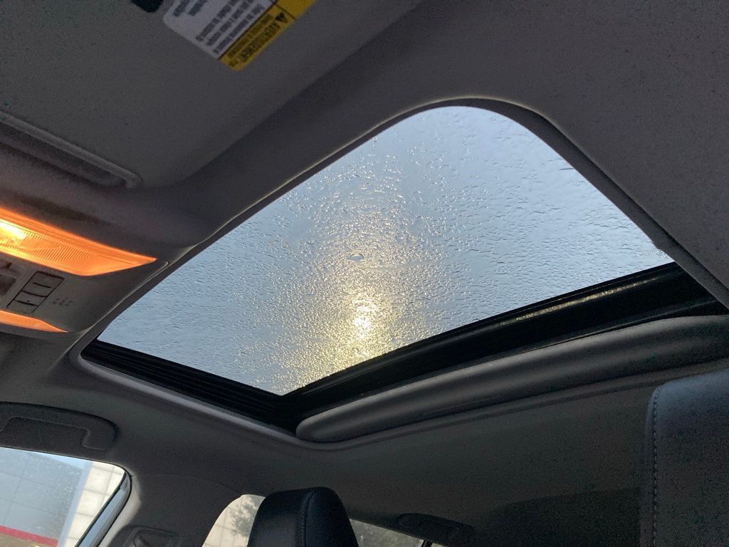 2019 Toyota RAV4 XLE Premium San Antonio TX