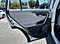 2019 Toyota RAV4 XLE Premium Worcester MA