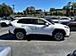 2019 Toyota RAV4 XLE Premium Worcester MA