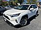 2019 Toyota RAV4 XLE Premium Worcester MA