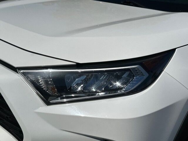 2019 Toyota RAV4 XLE Premium Worcester MA