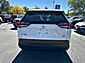 2019 Toyota RAV4 XLE Premium Worcester MA