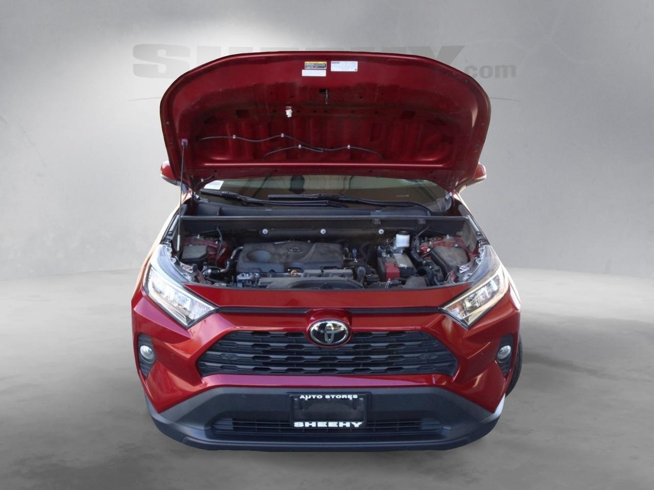 2019 Toyota RAV4 XLE Premium Fredericksburg VA