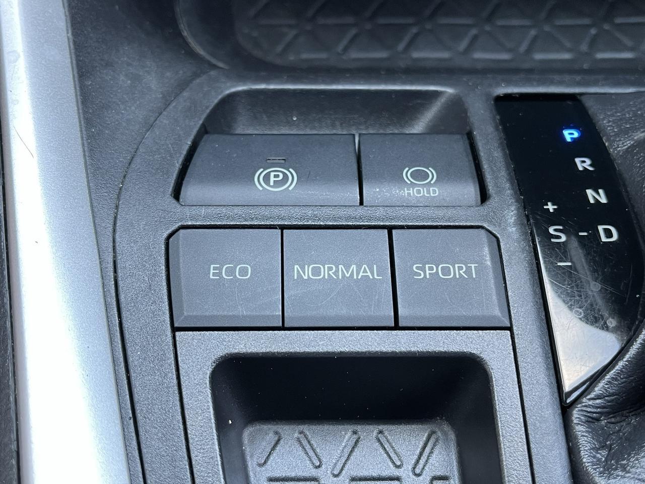 2019 Toyota RAV4 XLE Premium Stafford VA