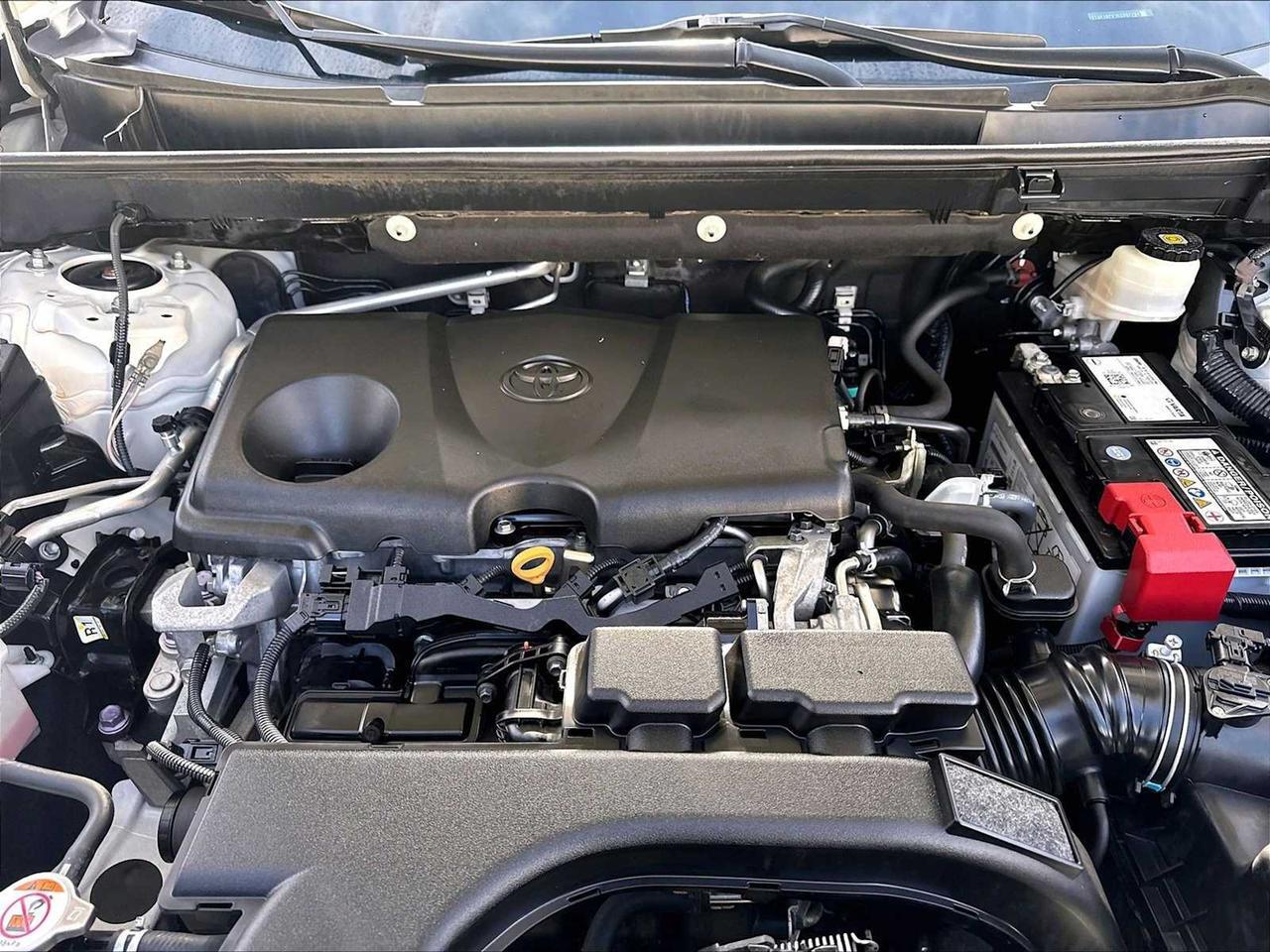 2019 Toyota RAV4 XLE Roseville CA
