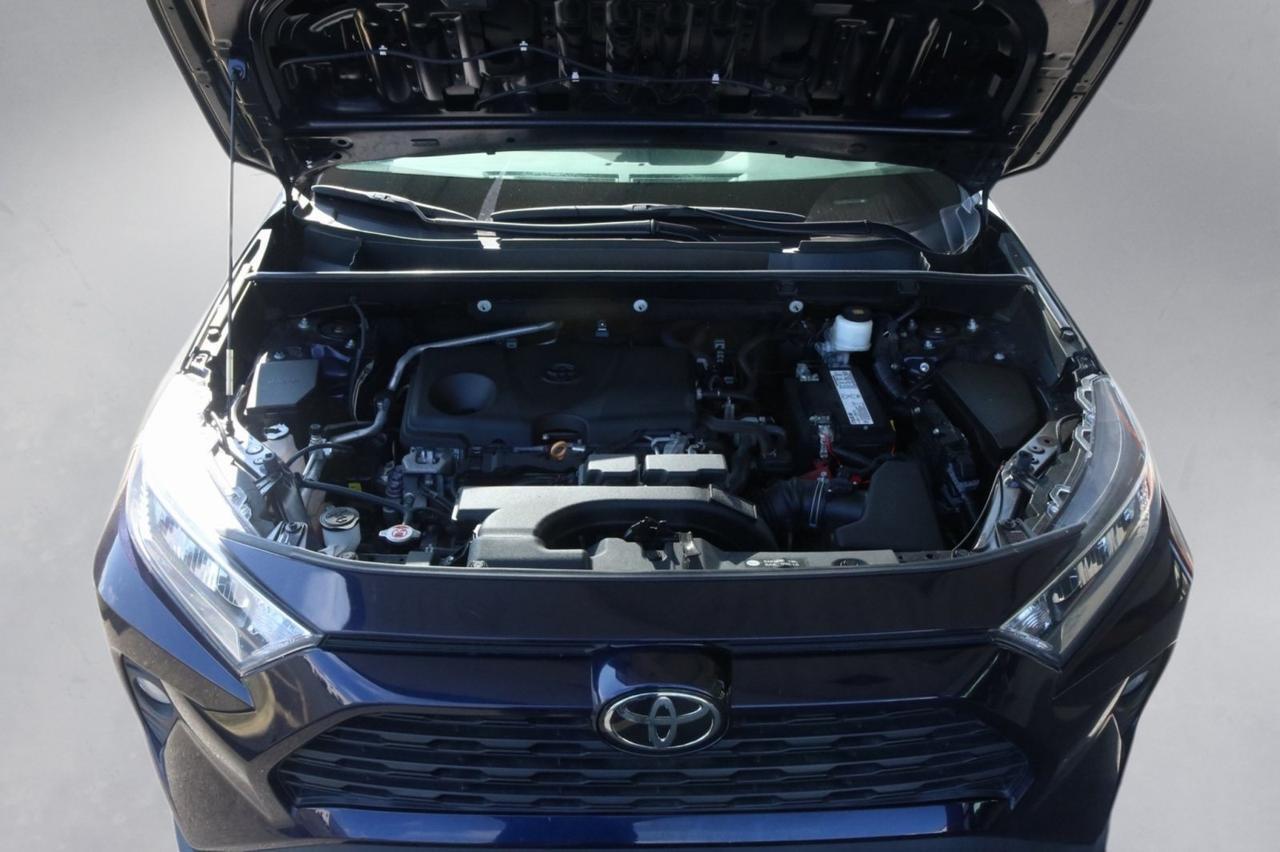 2019 Toyota RAV4 XLE Fredericksburg VA