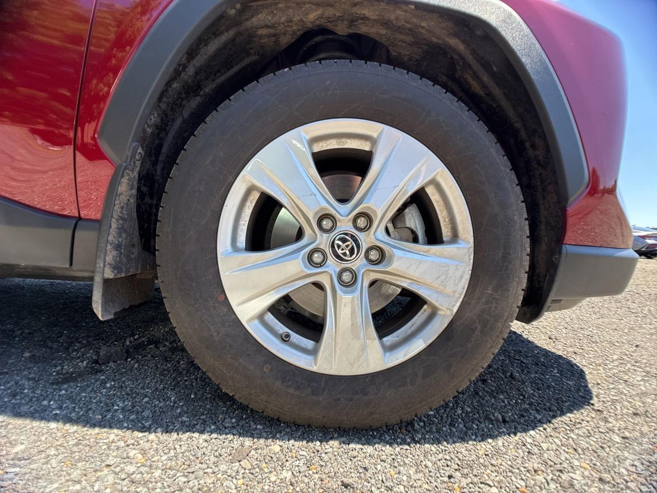 2019 Toyota RAV4 XLE Chantilly VA