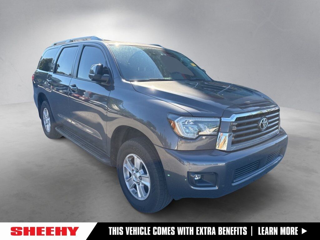 2019 Toyota Sequoia SR5