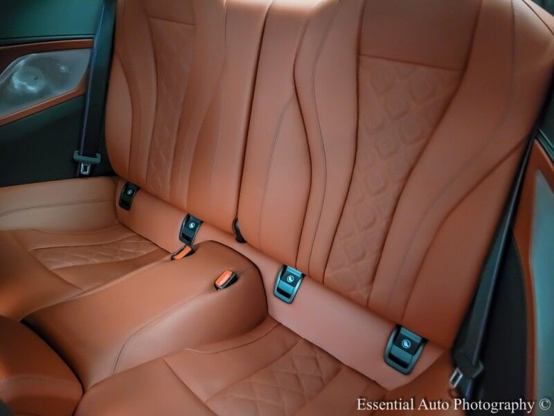 2020 BMW M8 Competition Willowbrook IL