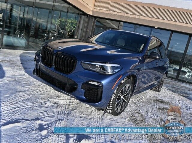 2020 BMW X5 xDrive40i Wasilla AK