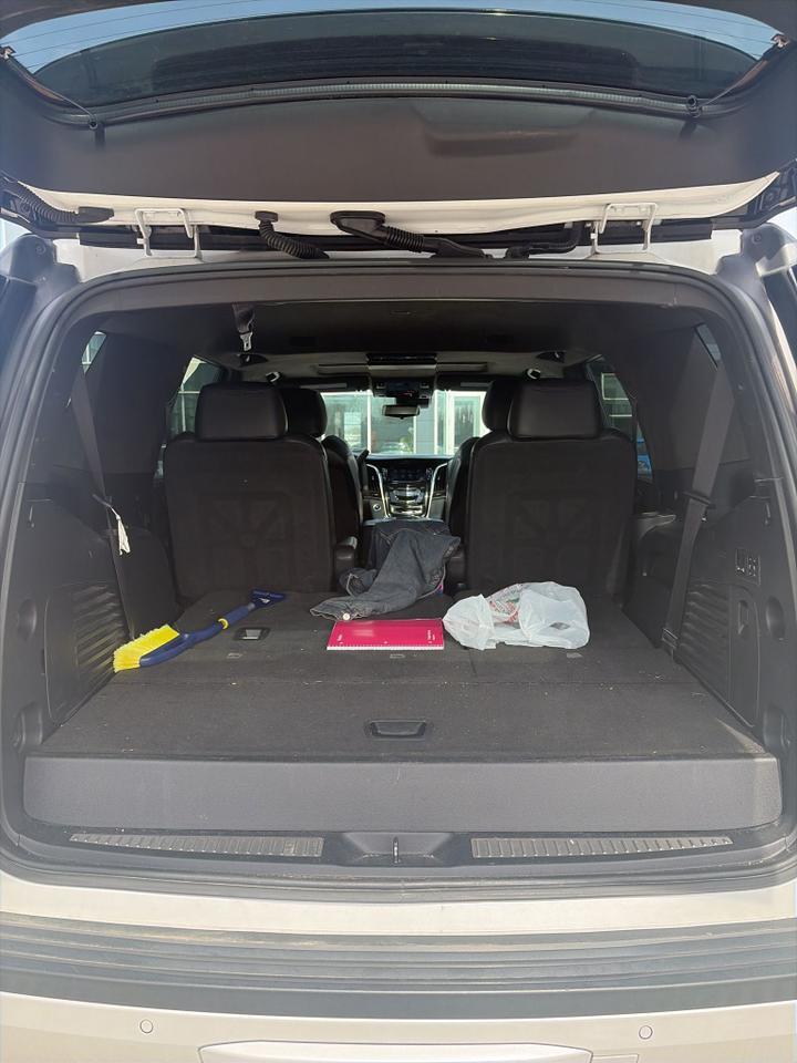 2020 Cadillac Escalade Platinum Edition Indianapolis IN