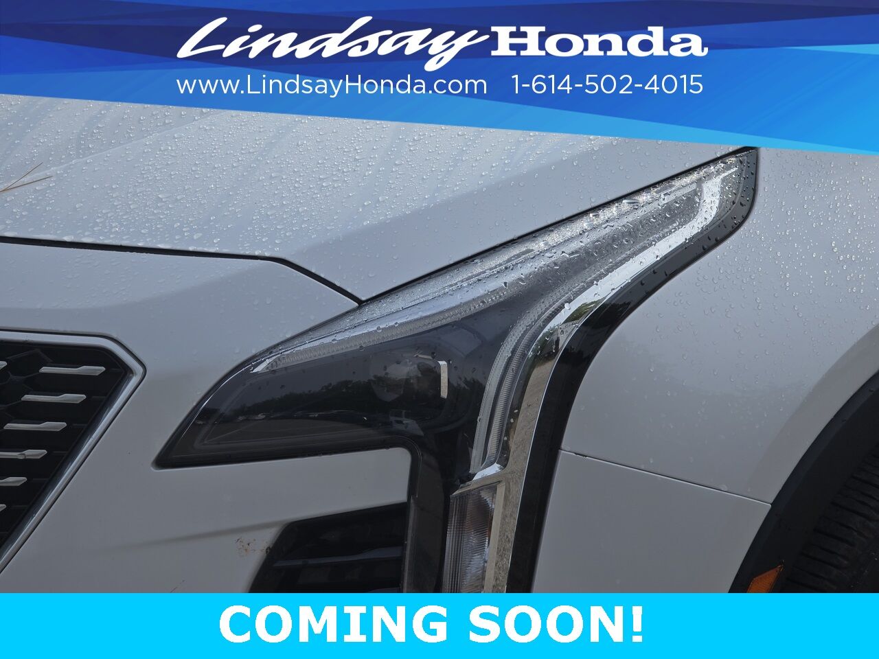 2020 Cadillac XT4 Premium Luxury Columbus OH