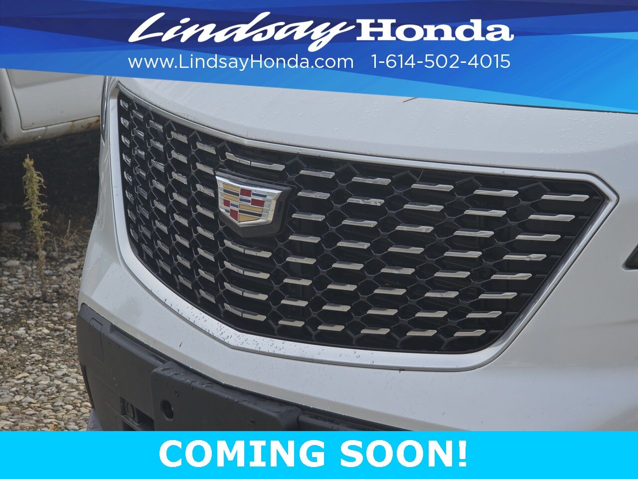 2020 Cadillac XT4 Premium Luxury Columbus OH