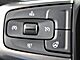2020 Chevrolet Silverado 1500 4x4 Crew Cab LT Trail Boss Fond du Lac WI