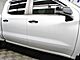 2020 Chevrolet Silverado 1500 4x4 Crew Cab LT Trail Boss Fond du Lac WI