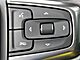 2020 Chevrolet Silverado 1500 4x4 Crew Cab LT Trail Boss Fond du Lac WI