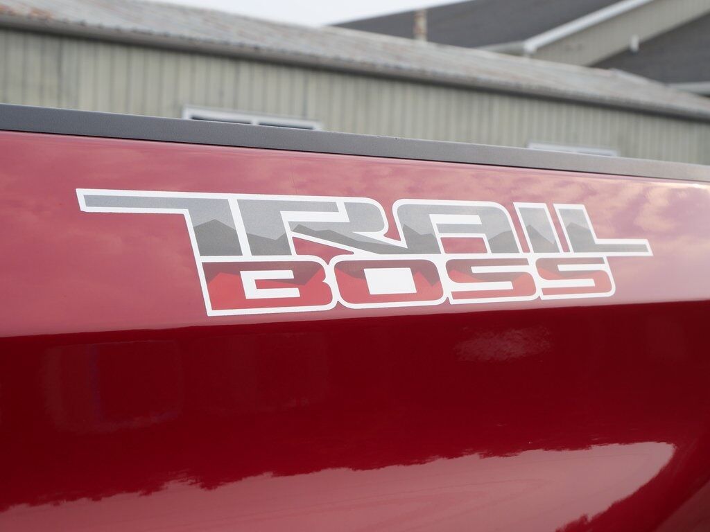 2020 Chevrolet Silverado 1500 LT Trail Boss Mt Pleasant MI