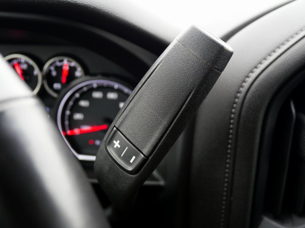 2020 Chevrolet Silverado 1500 LT Trail Boss Mt Pleasant MI