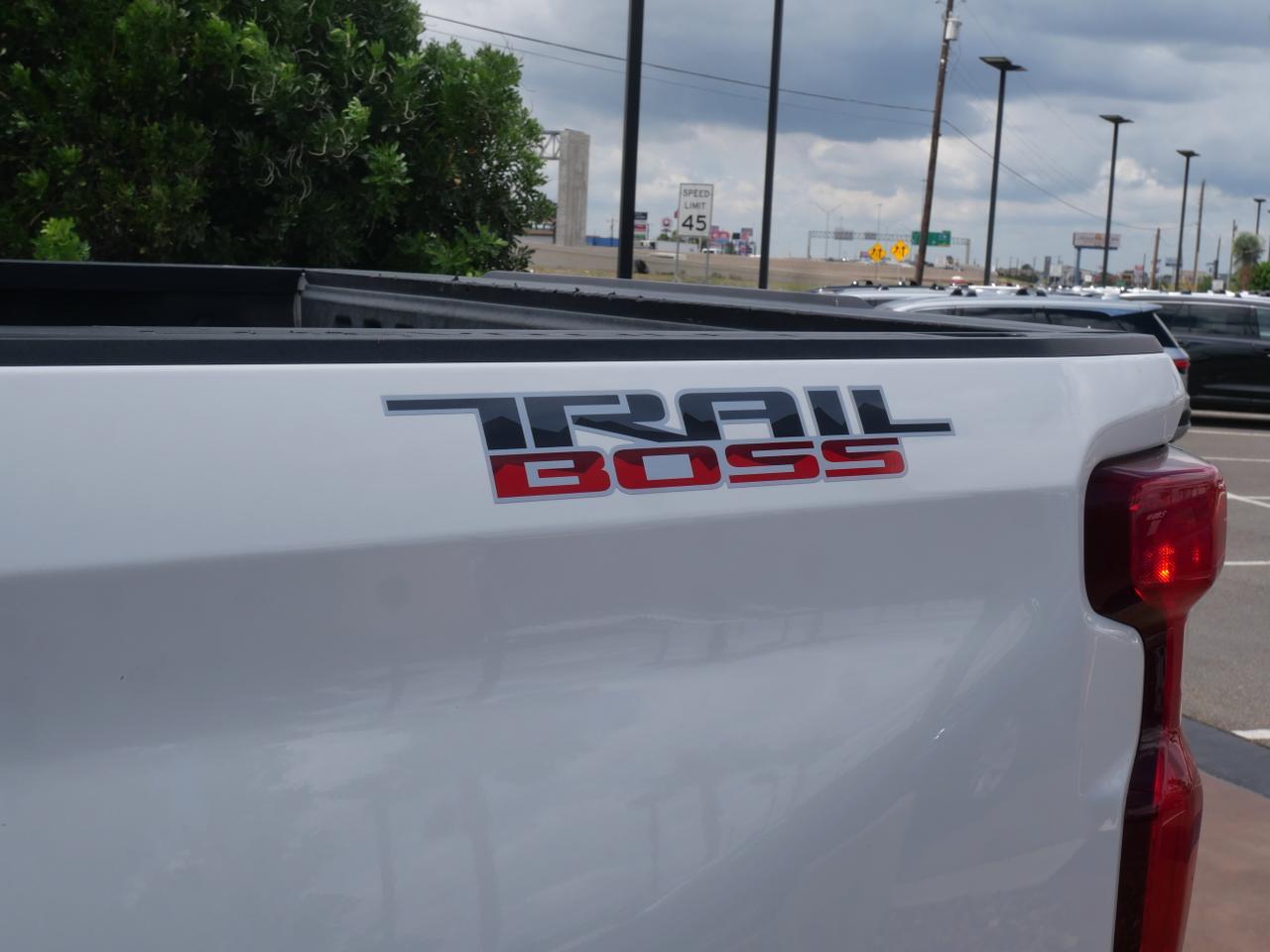 2020 Chevrolet Silverado 1500 LT Trail Boss San Juan TX