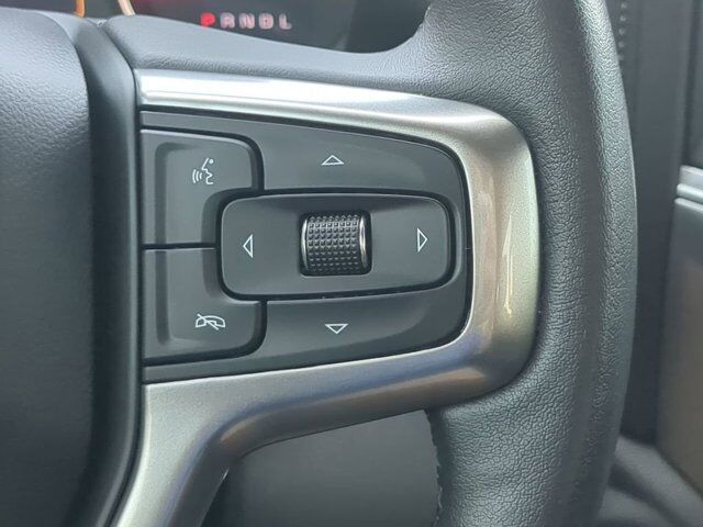 2020 Chevrolet Silverado 1500 LT Trail Boss Winder GA