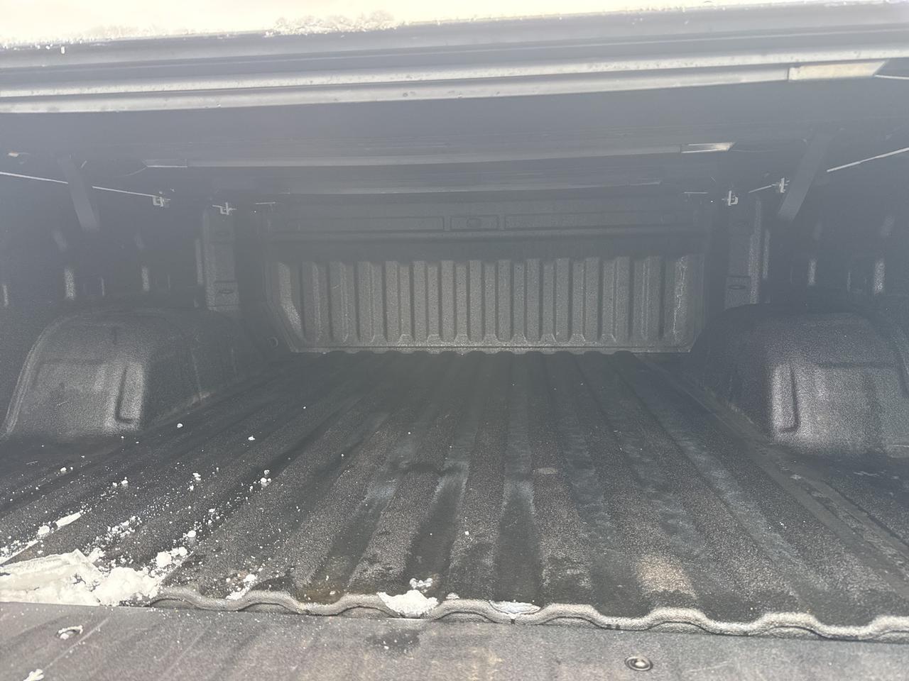 2020 Chevrolet Silverado 1500 LT Trail Boss Richmond VA