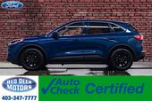 2020 Ford Escape AWD SE Nav BCam