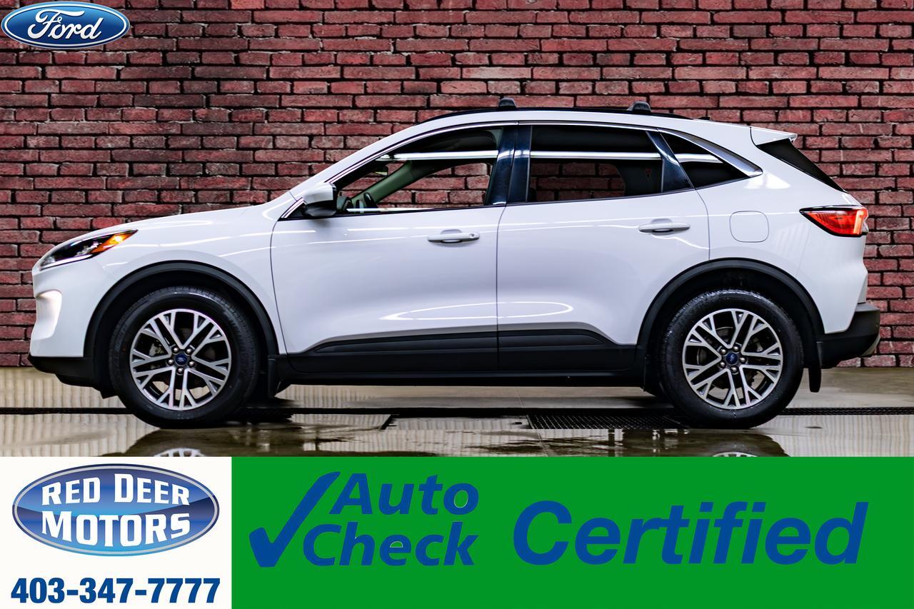 2020 Ford Escape AWD SEL Leather PSeat BCam