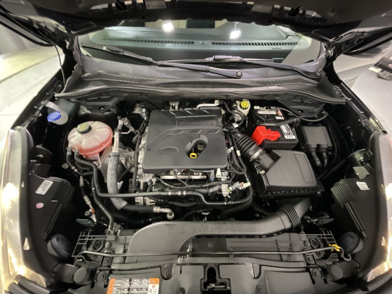 2020 Ford Escape SE Columbia SC