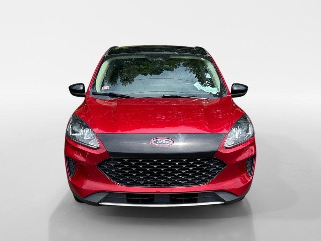 2020 Ford Escape SE Sport Hybrid Morristown TN