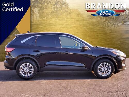2020 Ford Escape SE Tampa FL 2020 Ford Escape SE Tampa FL