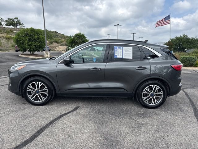 2020 Ford Escape SEL Kerrville TX