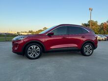 2020_Ford_Escape_SEL_ Hattiesburg MS